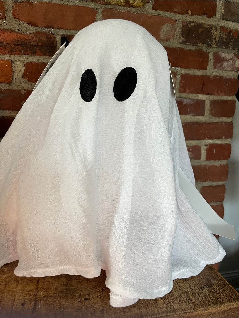 Martha Stewart White Ghost with Black Eye Details
